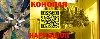 спайс Коммунар
