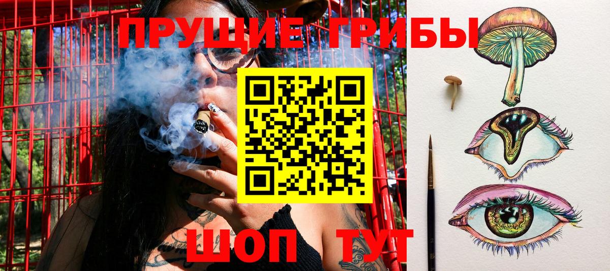 Галлюциногенные грибы Magic Shrooms Югорск